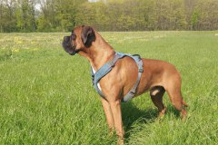 Was ist denn da hinten los?!?