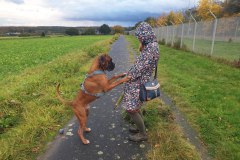 Anspringen kann ich auch...