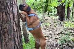 Ist da etwa ein Eichhörnchen?!?