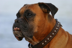 Ein Blicj in die Ferne