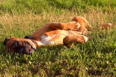 Einfach mal was abhängen