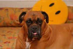 Hier ist es gemütlich