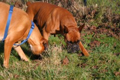 Cassius mit seiner Mutter